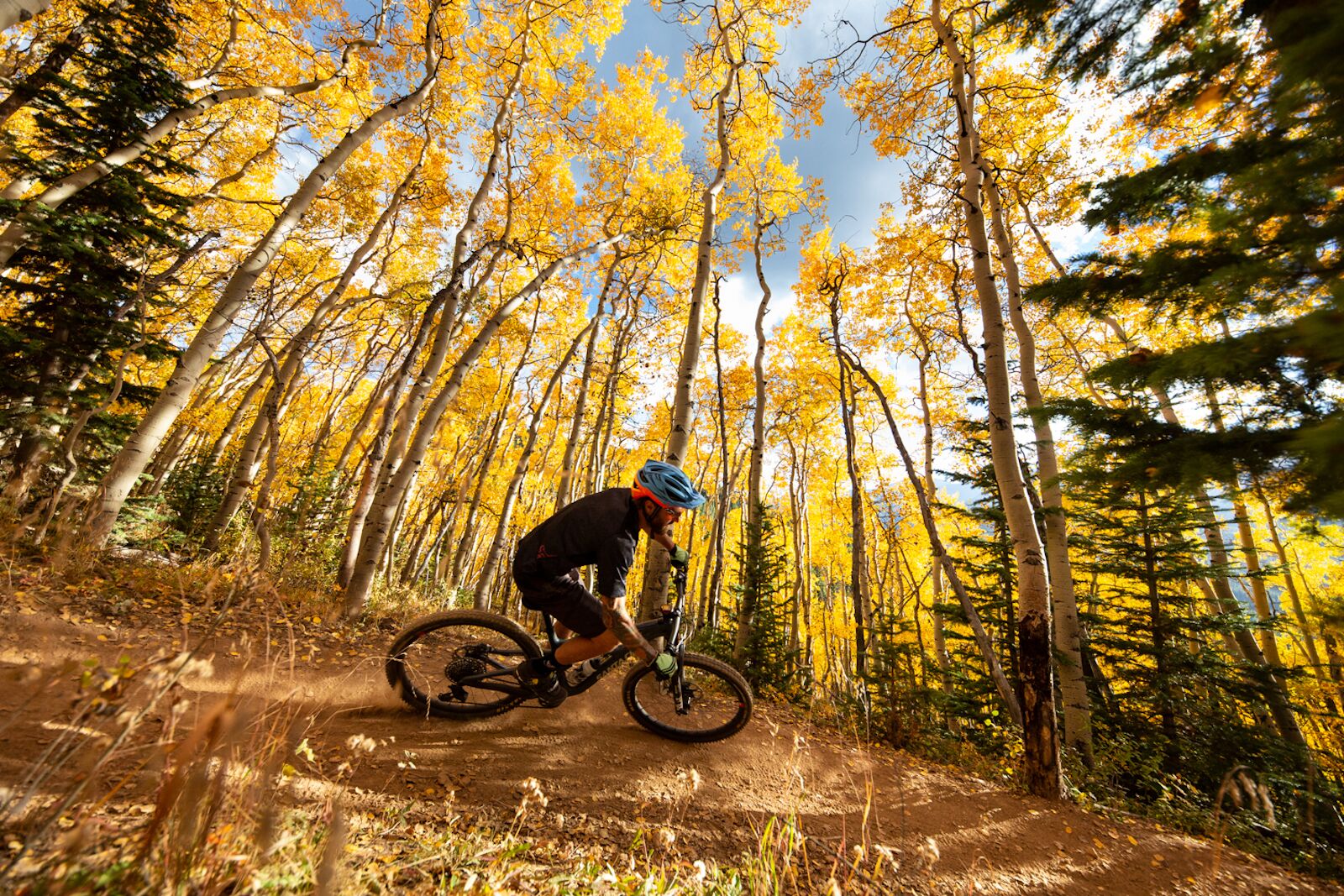 mountain biking in breckenridge colorado with fall aspen leaves